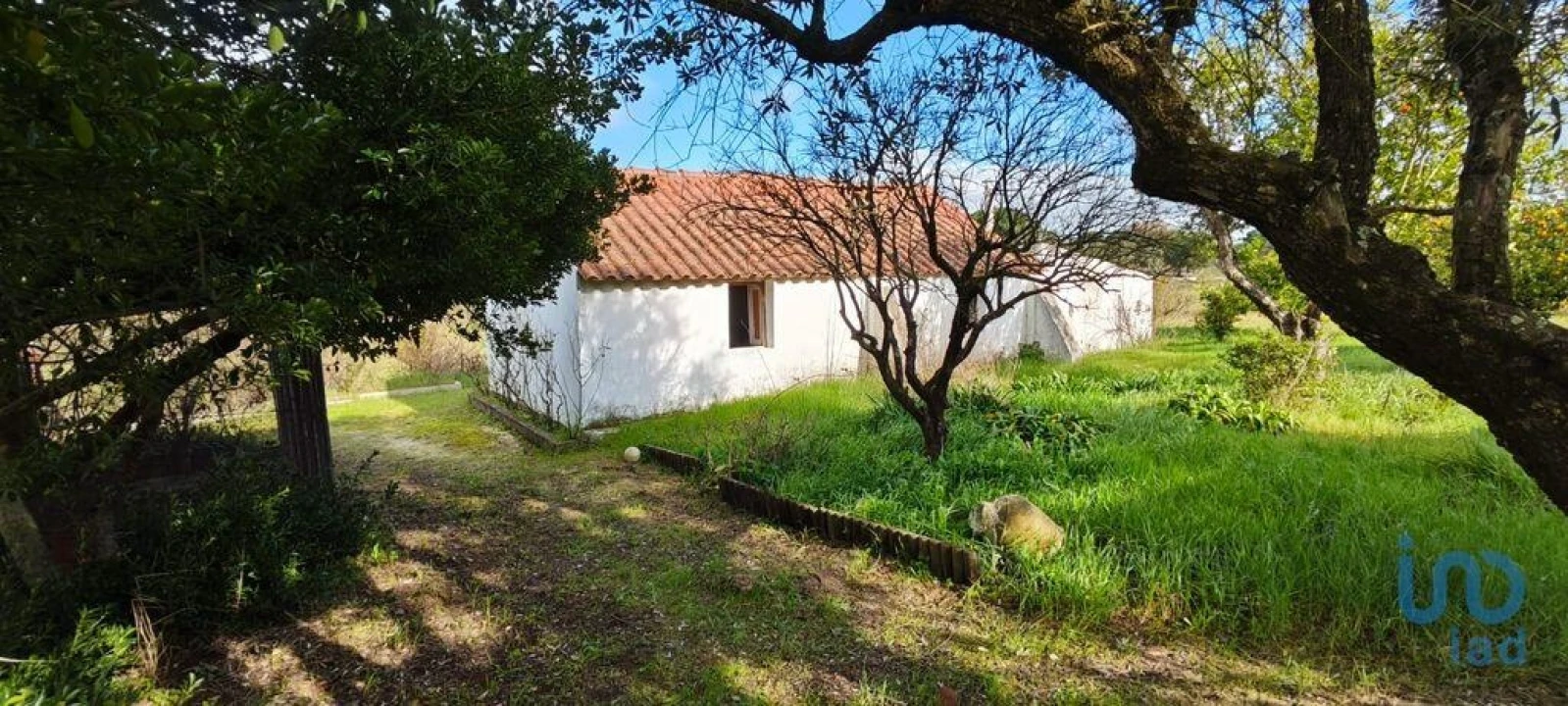 Moradia T3 para Venda em Branca Foto 11