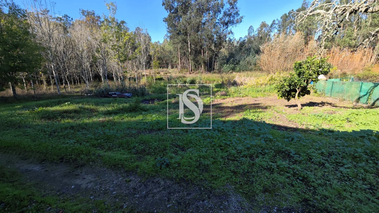 Armazém para Venda em Vilarinho do Bairro Foto 4