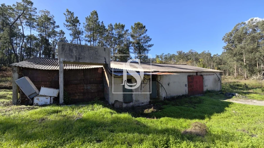 Armazém para Venda em Vilarinho do Bairro Foto 9