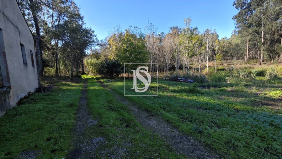 Armazém para Venda em Vilarinho do Bairro Foto 3