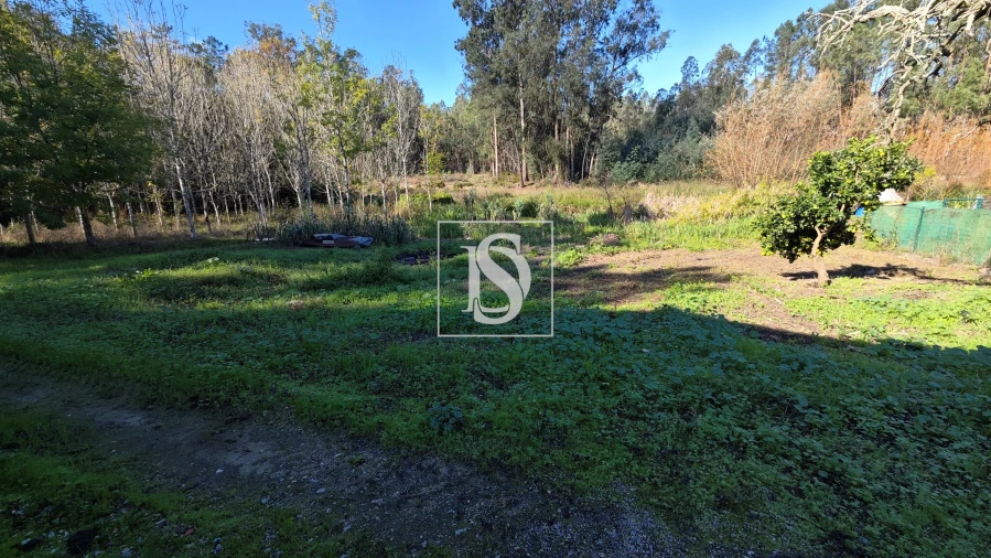 Armazém para Venda em Vilarinho do Bairro Foto 5