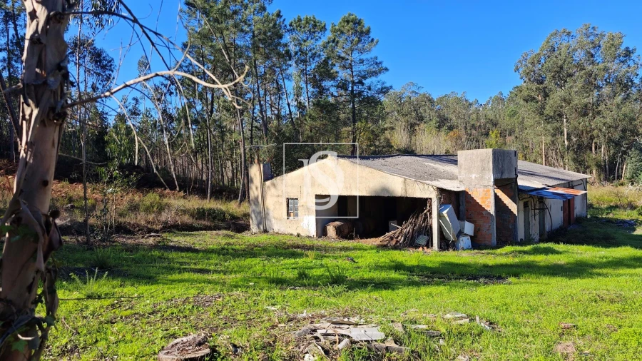 Armazém para Venda em Vilarinho do Bairro Foto 20