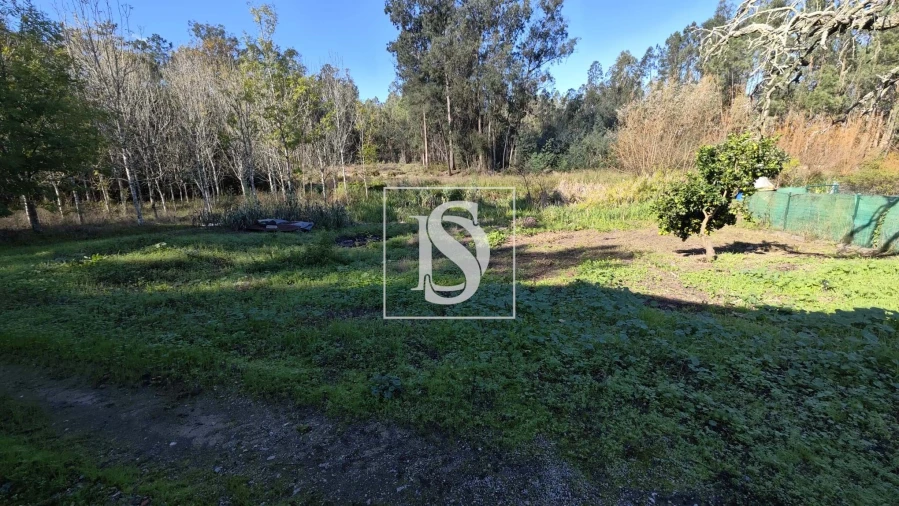 Armazém para Venda em Vilarinho do Bairro Foto 11