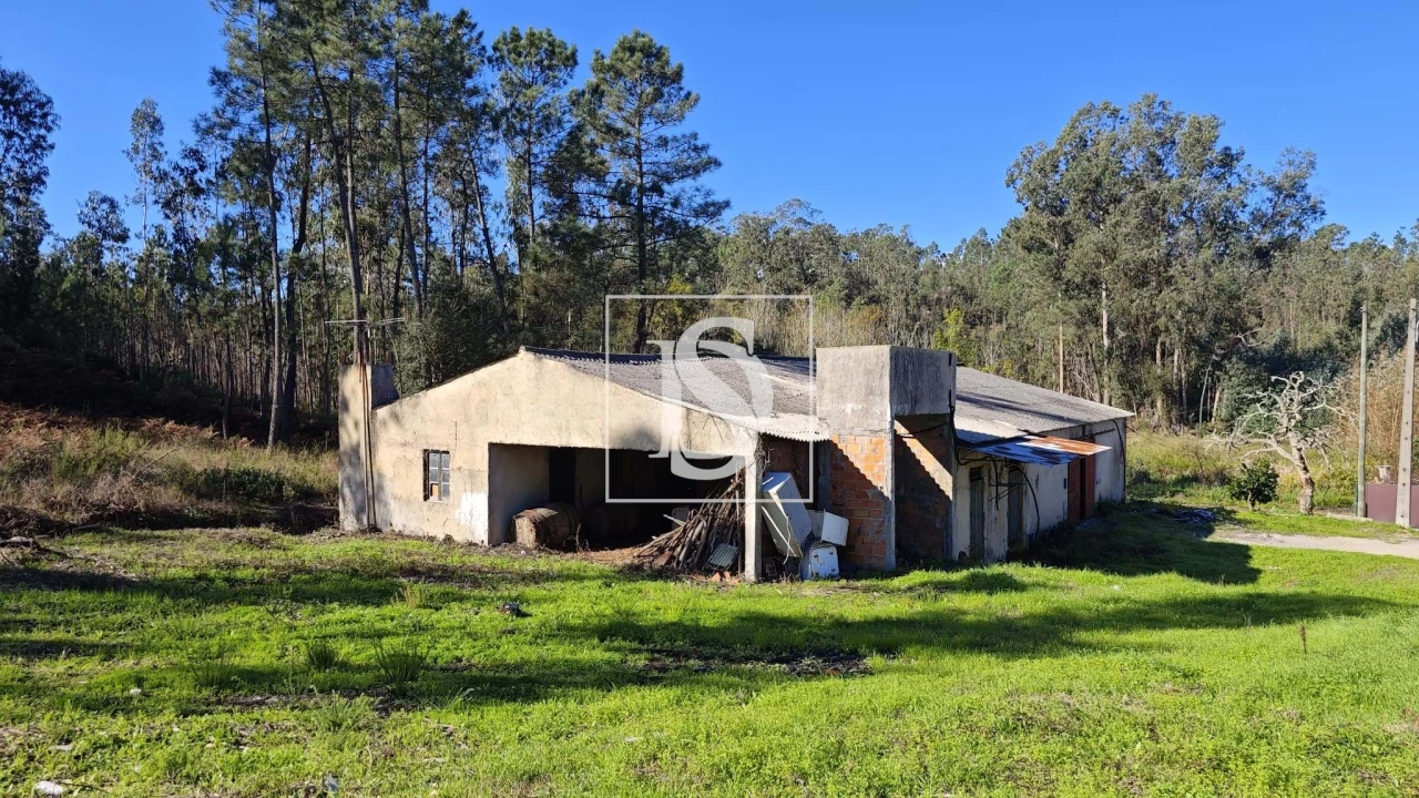 Armazém para Venda em Vilarinho do Bairro Foto 14