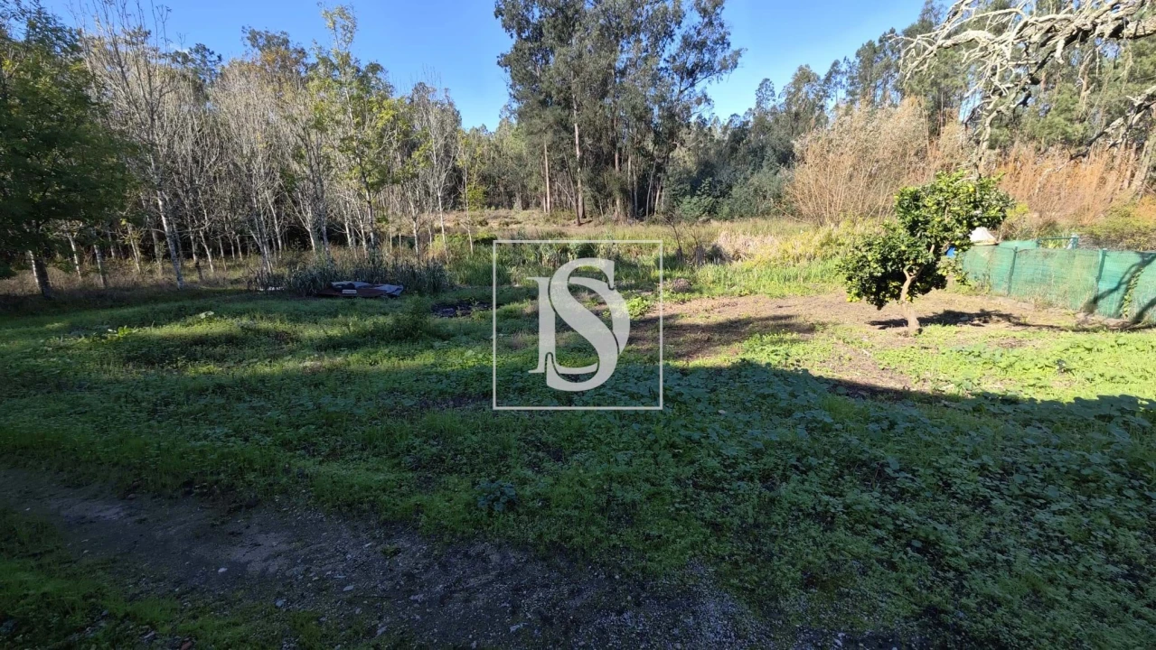 Armazém para Venda em Vilarinho do Bairro Foto 11