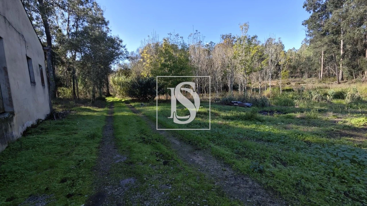 Armazém para Venda em Vilarinho do Bairro Foto 12