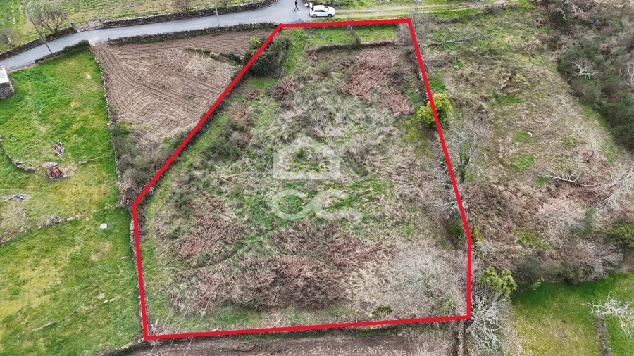 Terreno para Venda em Boticas e Granja Foto 2