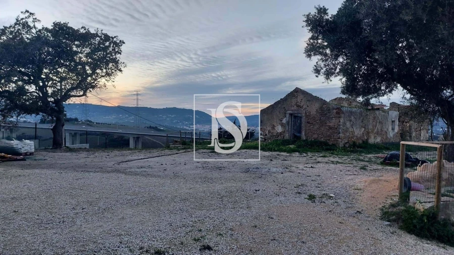 Moradia para Venda em Cardosas Foto 11