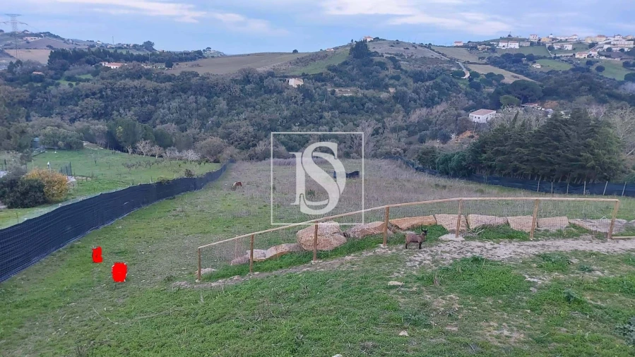 Moradia para Venda em Cardosas Foto 9