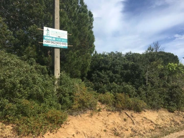Terreno para Venda em Lagoa e Carvoeiro