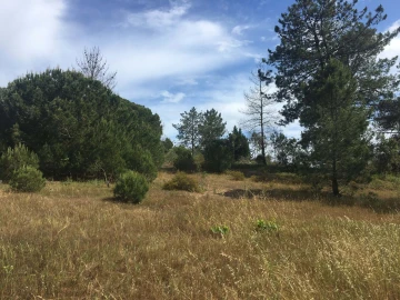 Terreno para Venda em Lagoa e Carvoeiro
