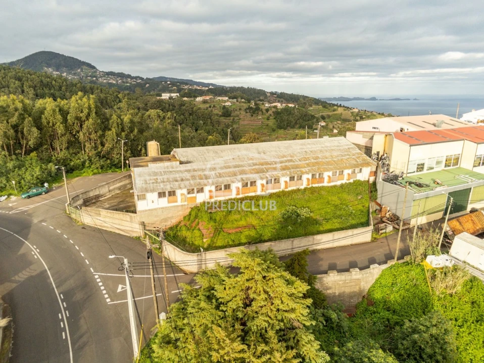 Armazém para Venda em Caniço Foto 18