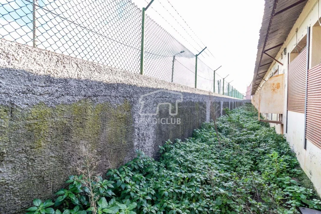 Armazém para Venda em Caniço Foto 17