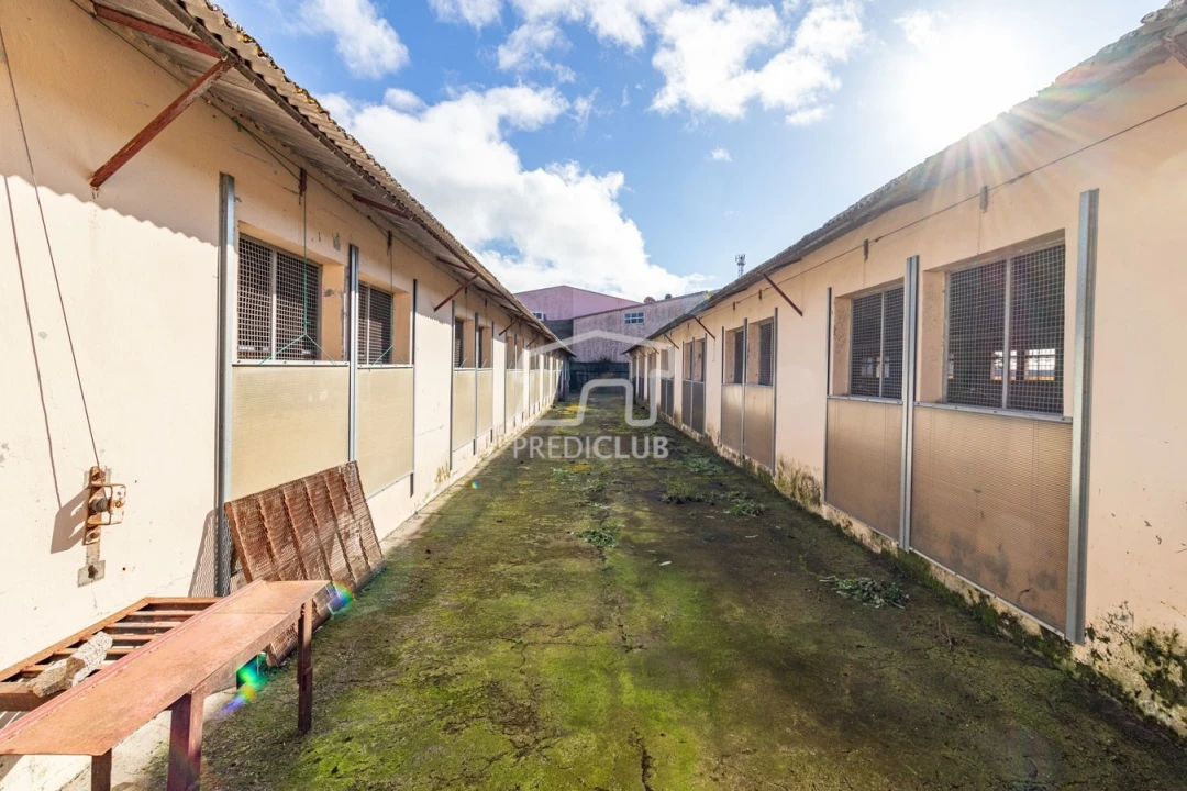 Armazém para Venda em Caniço Foto 5