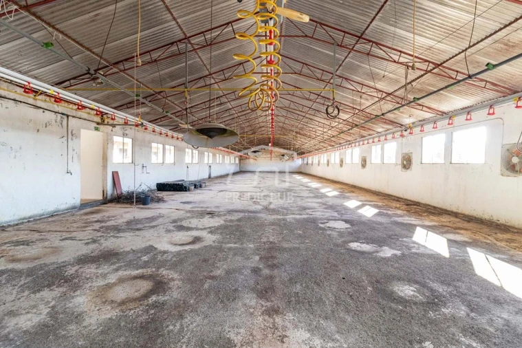 Armazém para Venda em Caniço Foto 9