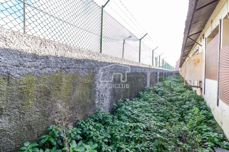 Armazém para Venda em Caniço Foto 17