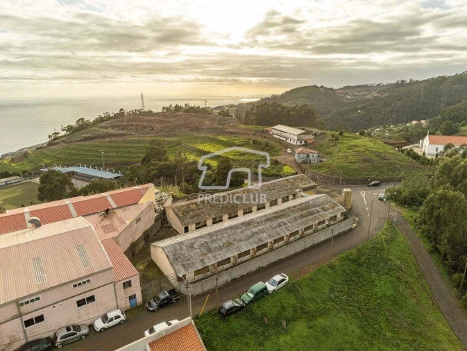 Armazém para Venda em Caniço Foto 4