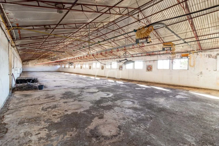 Armazém para Venda em Caniço Foto 7