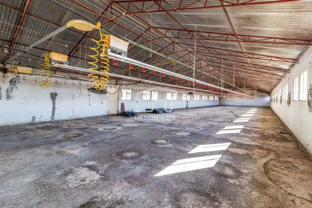 Armazém para Venda em Caniço Foto 8