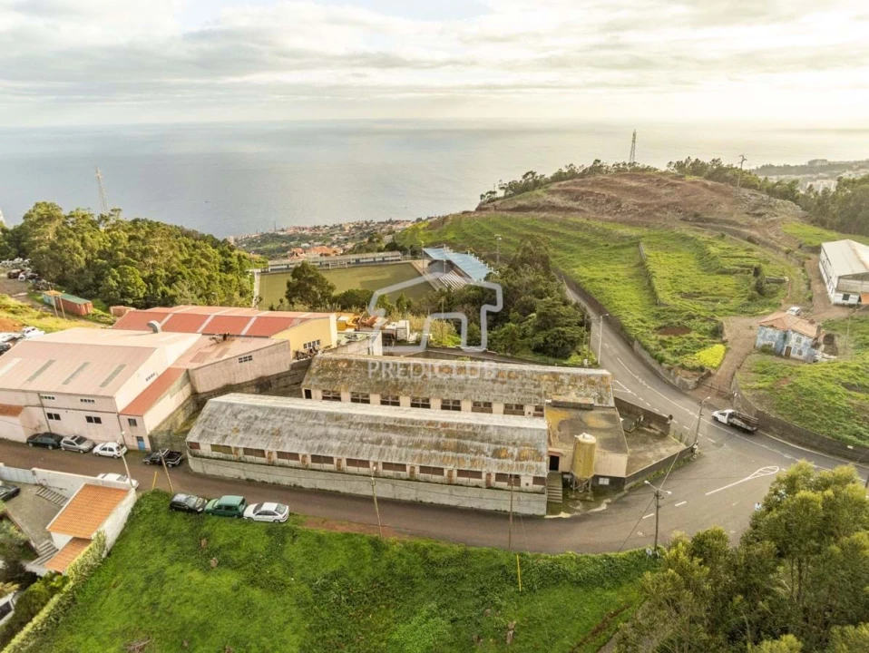Armazém para Venda em Caniço Foto 20