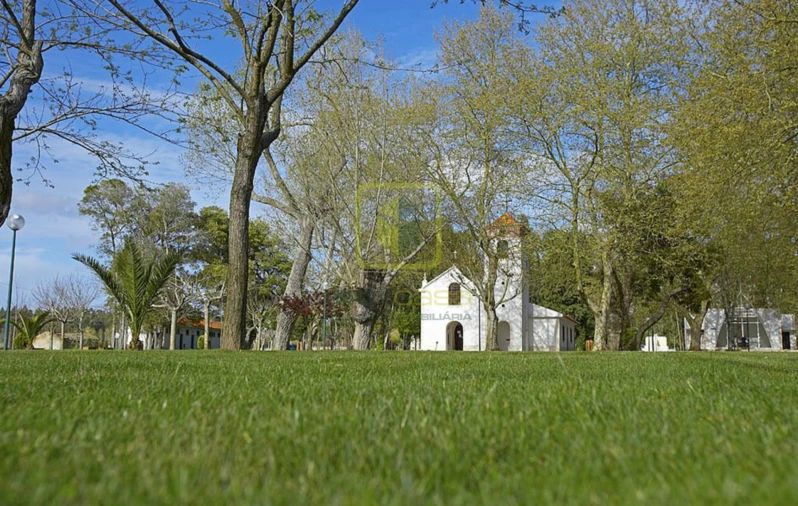 Terreno para Venda em Calvão Foto 6