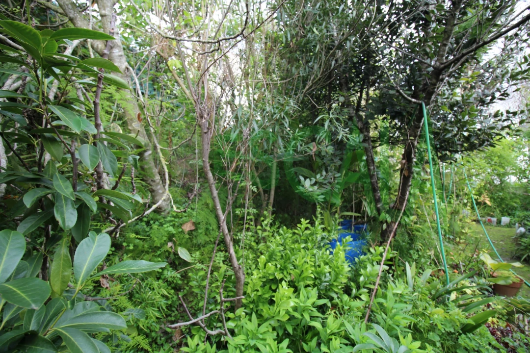 Moradia T5 para Venda em Marvila, Ribeira Santarém, São Salvador, São Nicolau Foto 52