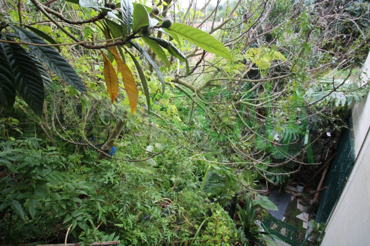 Moradia T5 para Venda em Marvila, Ribeira Santarém, São Salvador, São Nicolau Foto 50