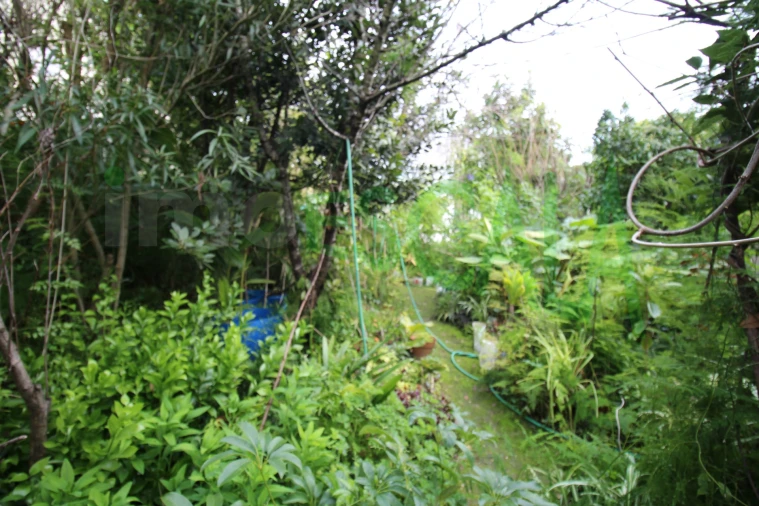 Moradia T5 para Venda em Marvila, Ribeira Santarém, São Salvador, São Nicolau Foto 51