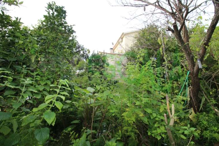 Moradia T5 para Venda em Marvila, Ribeira Santarém, São Salvador, São Nicolau Foto 54