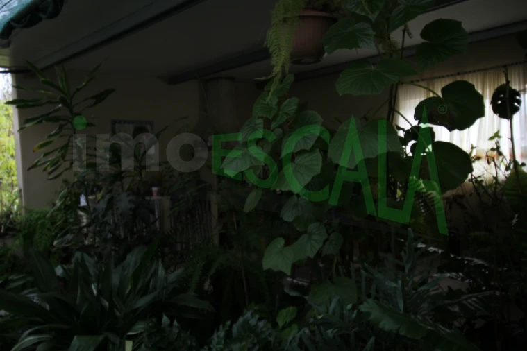 Moradia T5 para Venda em Marvila, Ribeira Santarém, São Salvador, São Nicolau Foto 45