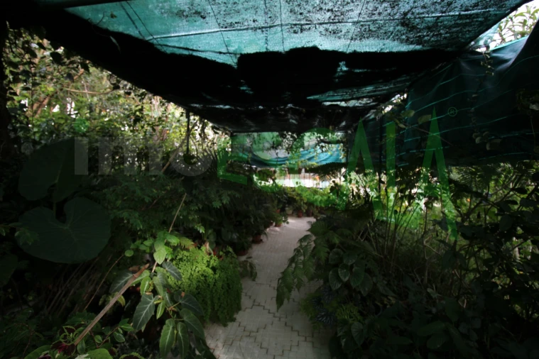 Moradia T5 para Venda em Marvila, Ribeira Santarém, São Salvador, São Nicolau Foto 49