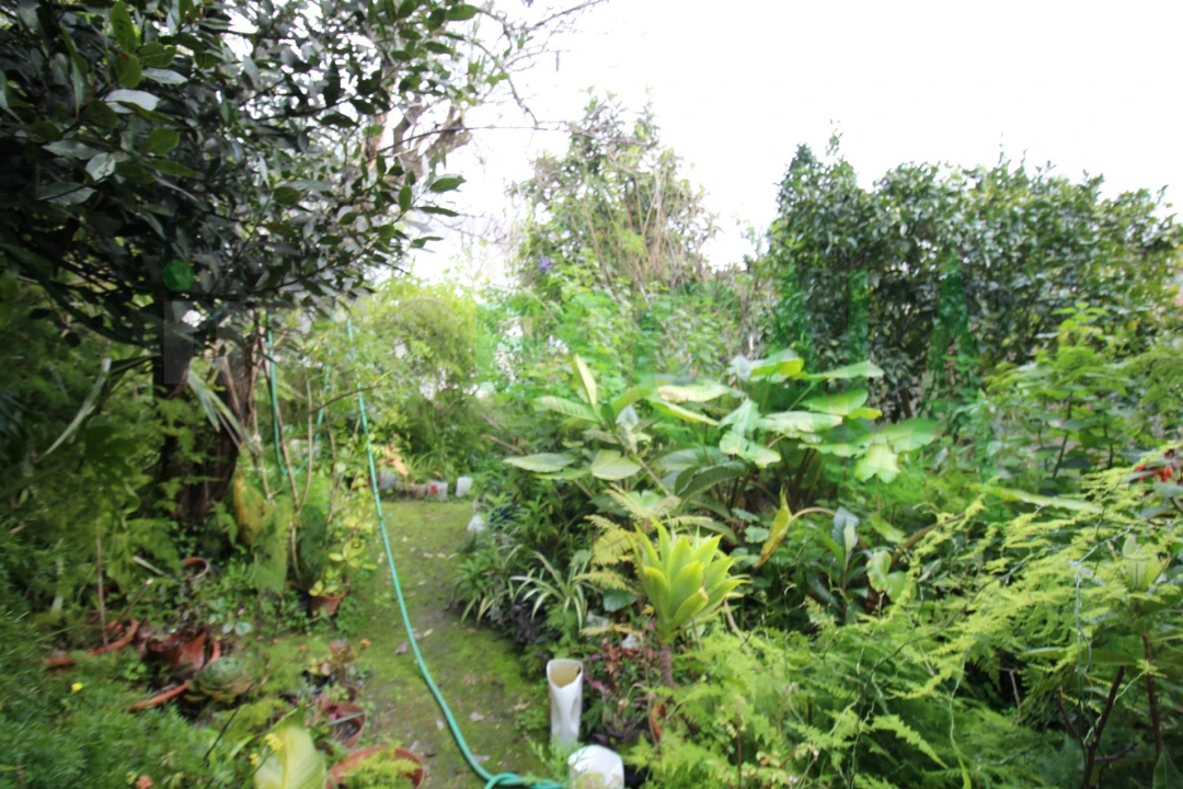 Moradia T5 para Venda em Marvila, Ribeira Santarém, São Salvador, São Nicolau Foto 53