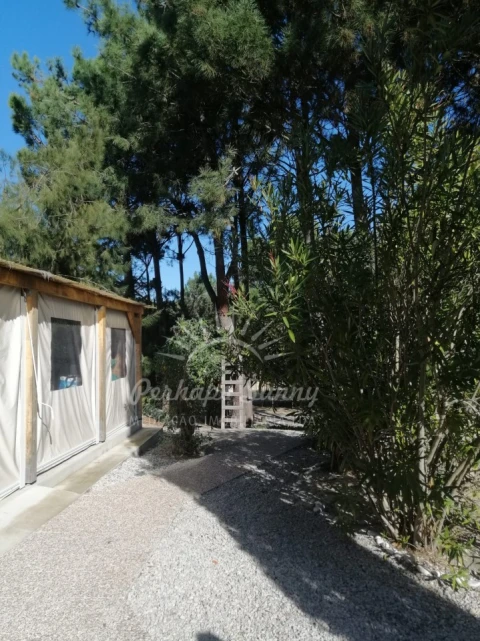 Quinta T5 para Venda em Grândola e Santa Margarida da Serra