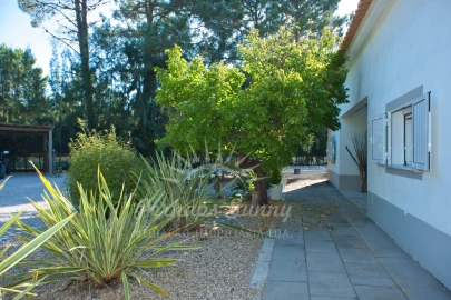 Quinta T5 para Venda em Grândola e Santa Margarida da Serra