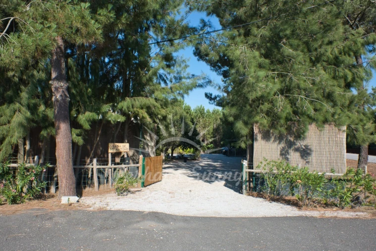 Quinta T5 para Venda em Grândola e Santa Margarida da Serra Foto 50