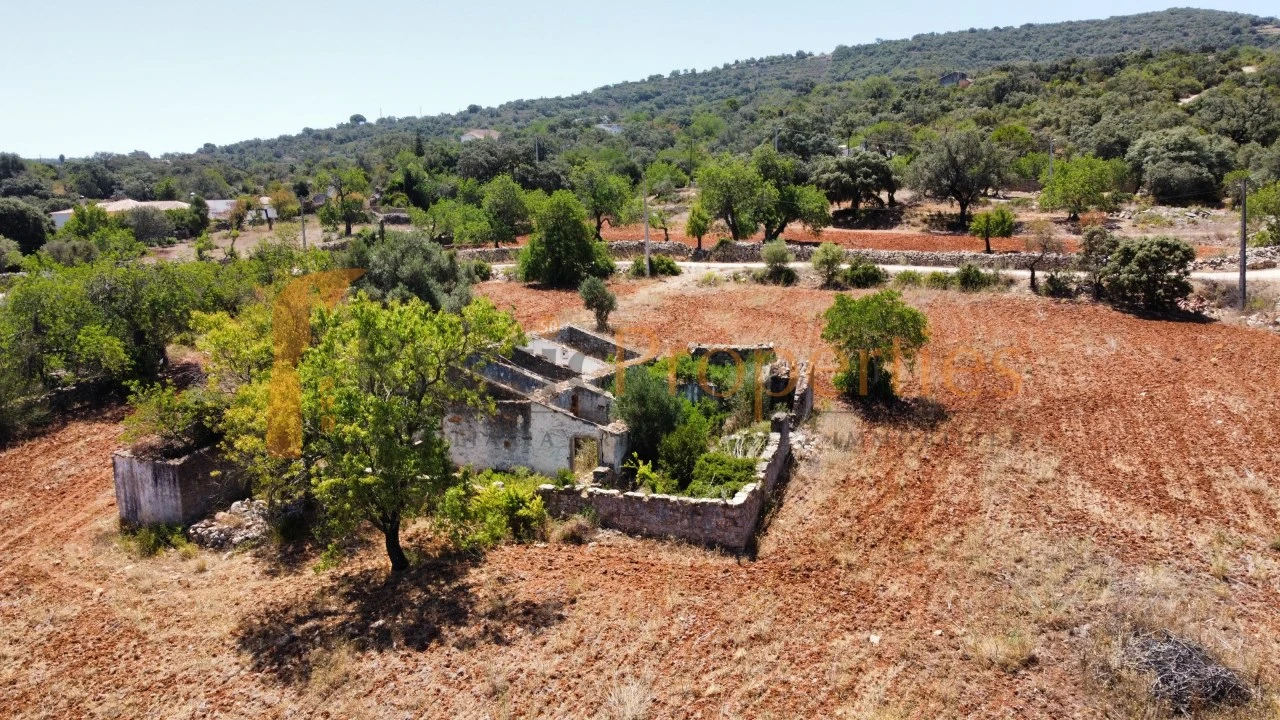 Terreno para Venda em Conceição e Estoi Foto 1