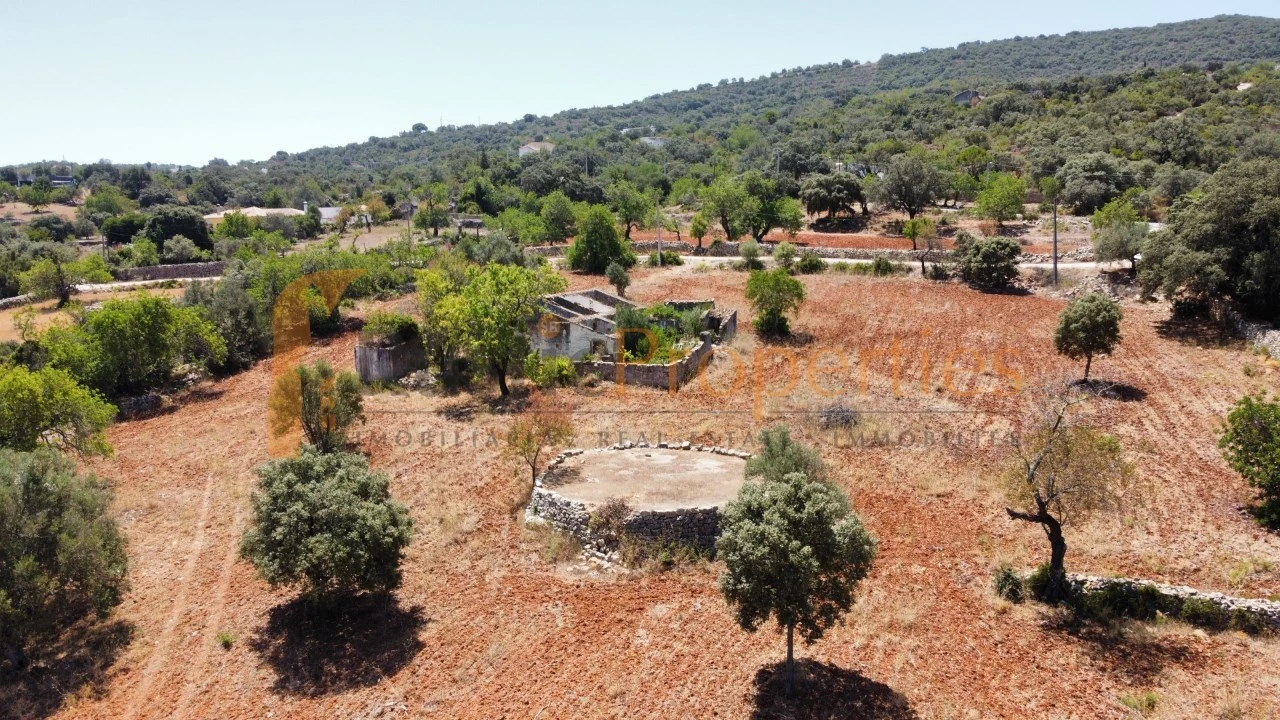 Terreno para Venda em Conceição e Estoi Foto 3
