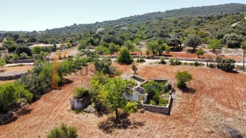 Terreno para Venda em Conceição e Estoi