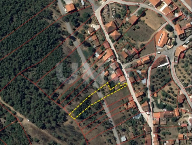 Terreno Agricola ou Rústico para Venda em Salgueiro do Campo Foto 3