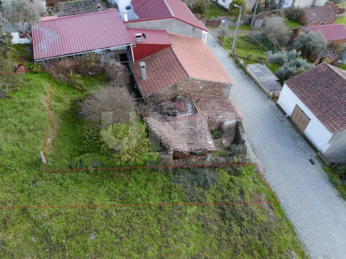 Terreno Agricola ou Rústico para Venda em Salgueiro do Campo Foto 2