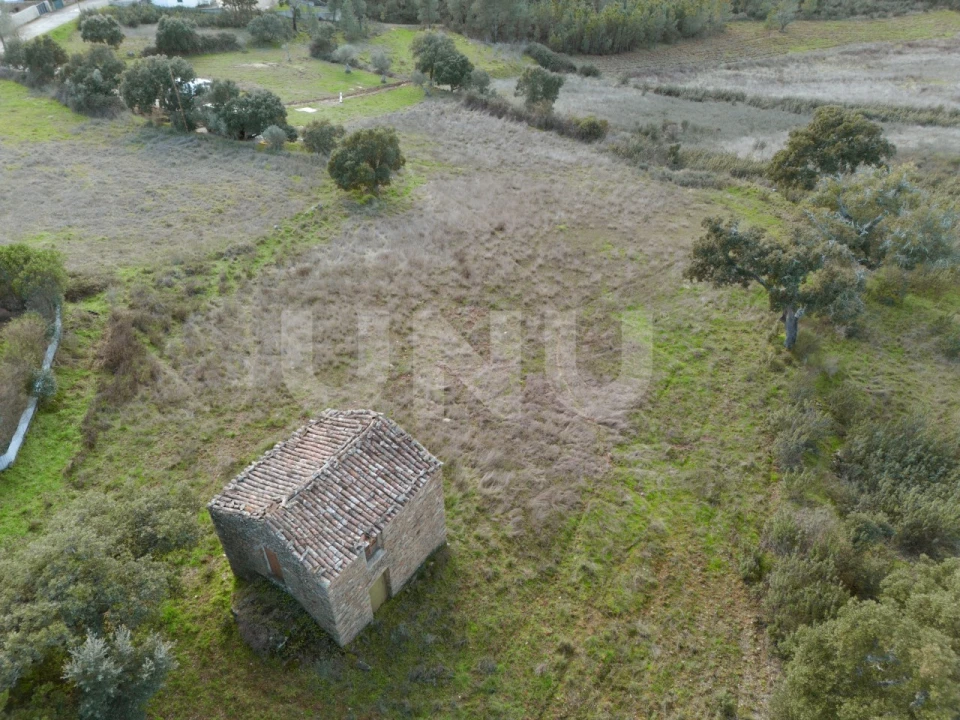 Terreno Agricola ou Rústico para Venda em Salgueiro do Campo Foto 2
