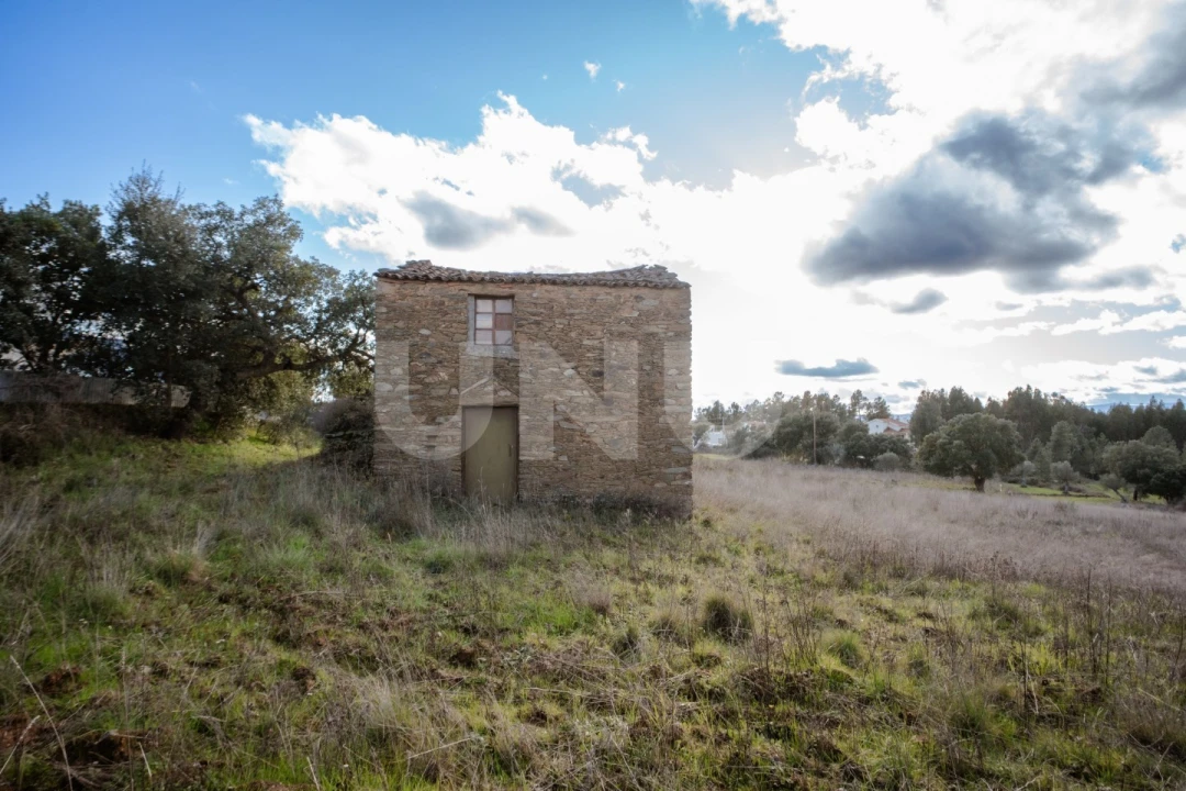 Terreno Agricola ou Rústico para Venda em Salgueiro do Campo Foto 4