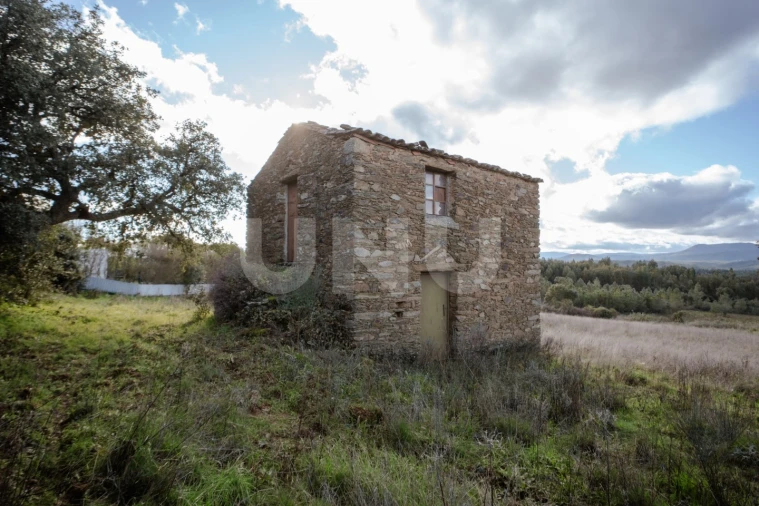 Terreno Agricola ou Rústico para Venda em Salgueiro do Campo Foto 3