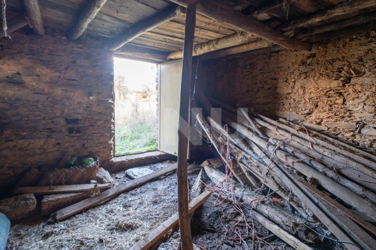 Terreno Agricola ou Rústico para Venda em Salgueiro do Campo Foto 8
