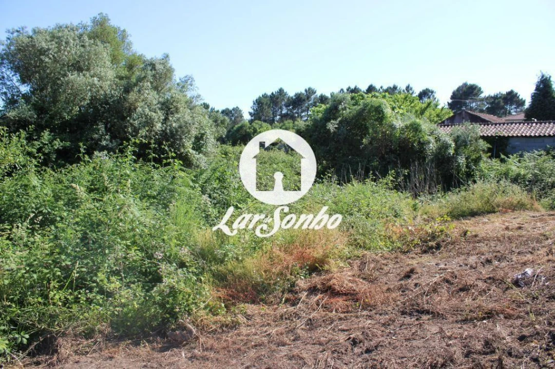 Terreno P/ Prédio para Venda em Lama Foto 12