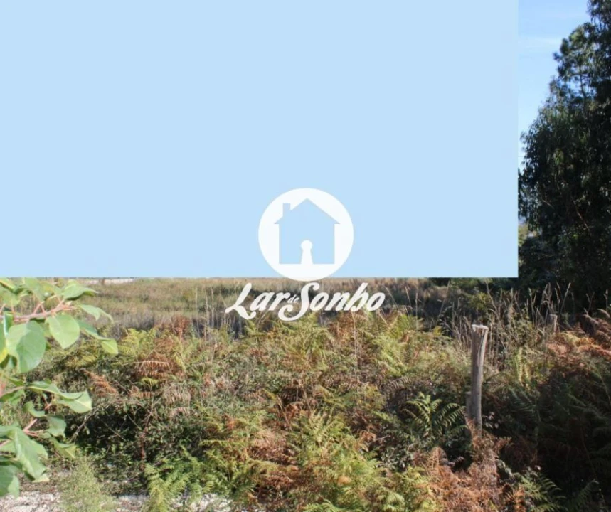 Terreno P/ Prédio para Venda em Lama Foto 16