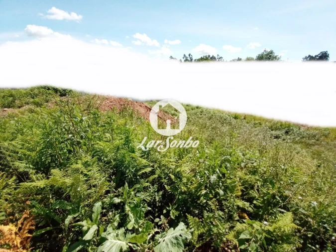 Terreno P/ Prédio para Venda em Lama Foto 4