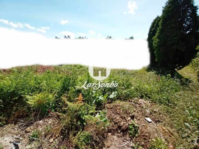 Terreno P/ Prédio para Venda em Lama Foto 5