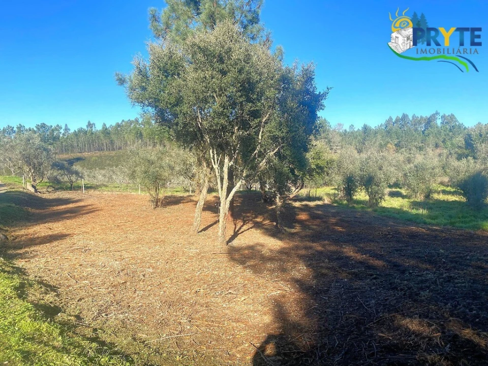 Terreno para Venda em Fundada Foto 3