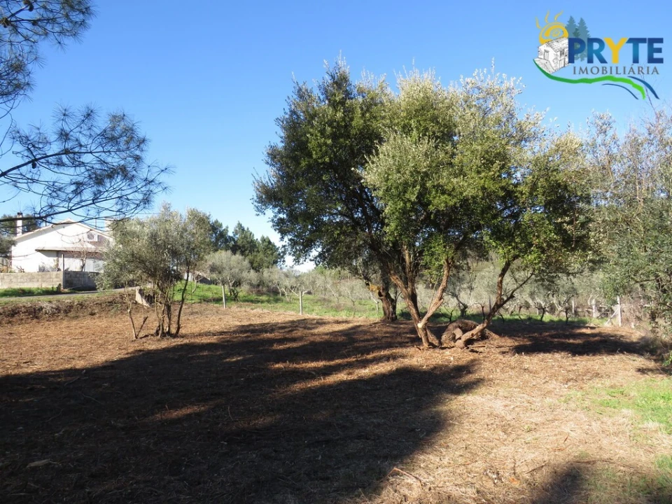 Terreno para Venda em Fundada Foto 5